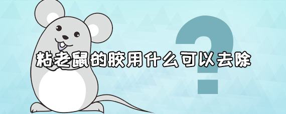 粘老鼠的胶是什么胶水 粘老鼠的胶用什么可以去除