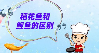 ​稻花鱼和鲤鱼有什么区别？稻花鱼怎么做好吃？
