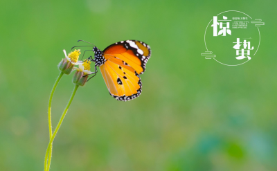 ​2023年24节气时间表农历 二十四节气详细时间表