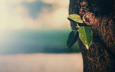 ​写给父母的一封信500字，对父母说的心里话简短