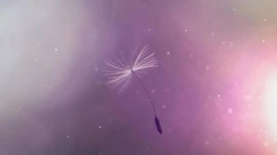 ​大雪节气祝福，大雪节气问候语及关心话