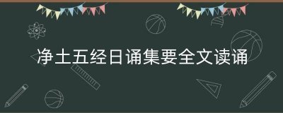 ​净土五经日诵集要全文读诵（净土五经一论讲解视频）