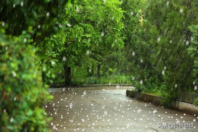 ​黄梅时节家家雨的下一句_原文译文诗意