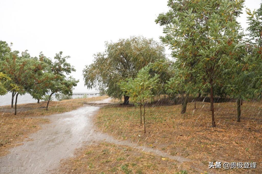 黄梅时节家家雨的下一句_原文译文诗意