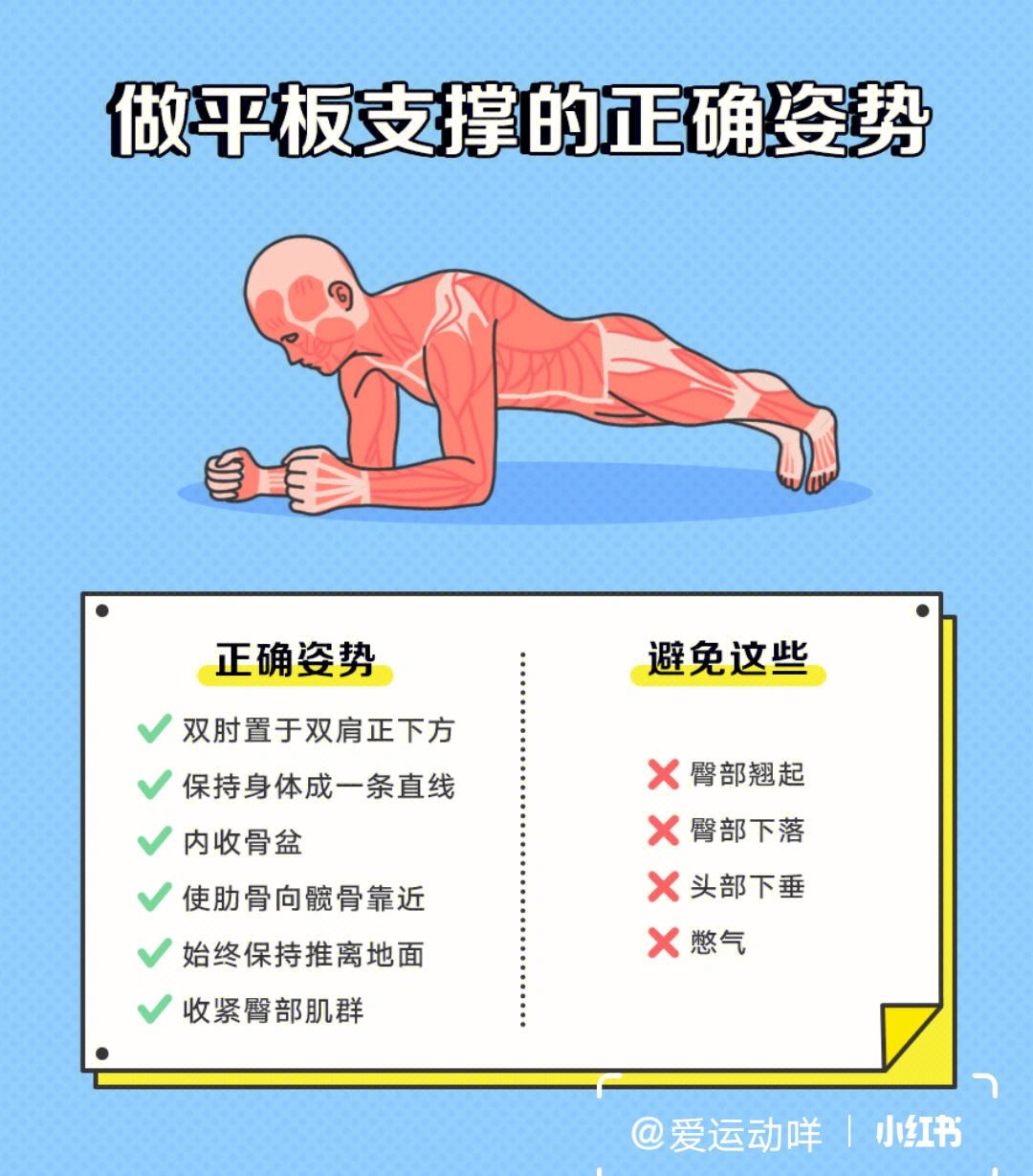 平板支撑正确姿势，平板支撑有什么好处 