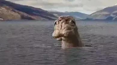 世界十大水怪是什么，世界十大水怪分别是什么