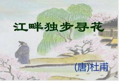 ​江畔独步寻花古诗意思（江畔独步寻花释义及解析）
