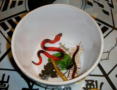 ​蛊虫真实存在吗（蛊虫是什么意思）