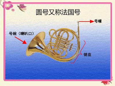 ​法国号又叫什么号（法国号又叫什么名字?）