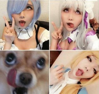 ​阿黑颜是什么意思，阿黑颜出自哪里