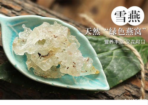 雪燕是什么东西有什么功效，雪燕的好处和功效 