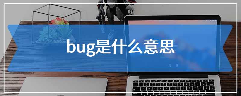 bug是什么意思，网络流行语bug是什么意思 