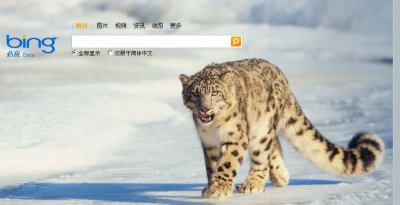 ​bing是什么意思（bing是什么搜索引擎）