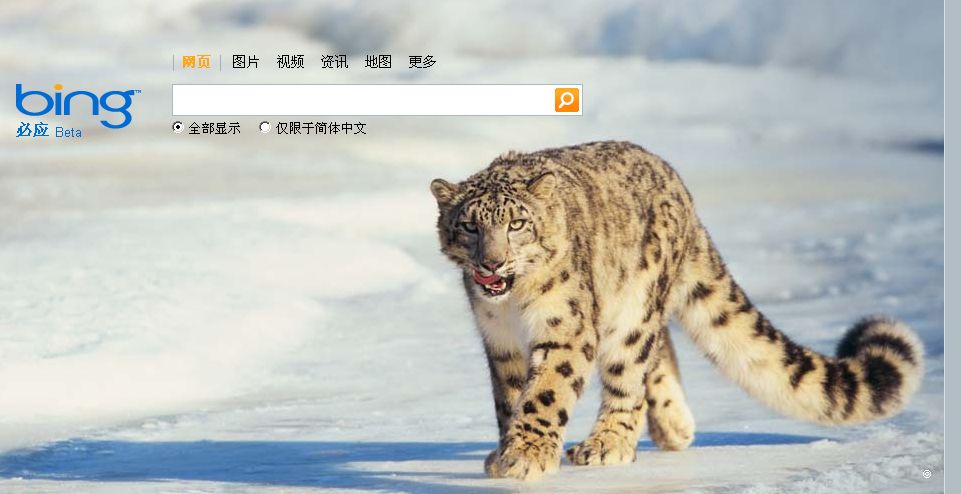 bing是什么意思，bing是什么搜索引擎 