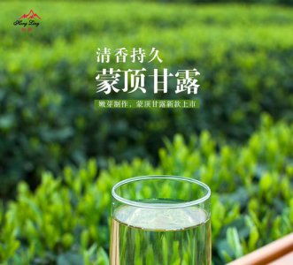 ​蒙顶甘露属于什么茶（蒙顶甘露是名茶吗）