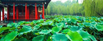 ​大明湖在什么地方