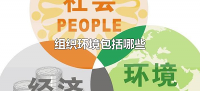 ​组织环境包括哪些（组织环境包括什么）