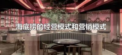 ​海底捞的经营模式和营销模式（海底捞是什么营销模式）