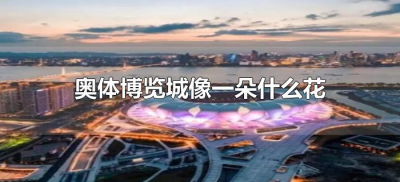 ​奥体博览城像一朵什么花（杭州奥体博览城像什么花？）