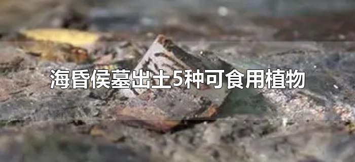 海昏侯墓出土5种可食用植物