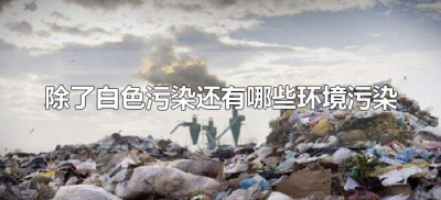 ​除了白色污染还有哪些环境污染（除了白色污染外还有哪些污染）