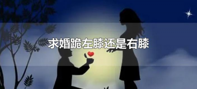 ​求婚跪左膝还是右膝（求婚是左膝盖跪地还是右膝盖跪地）
