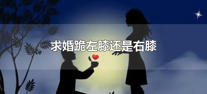 求婚跪左膝还是右膝