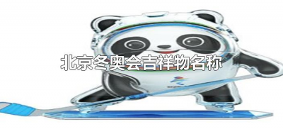 ​北京冬奥会吉祥物名称（北京冬奥会吉祥物介绍）