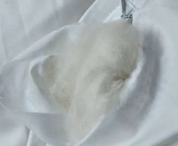 ​蚕丝被内胆脏了怎么清洗（蚕丝被内胆脏了怎么办）