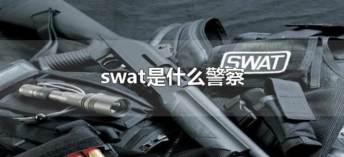 swat是什么警察