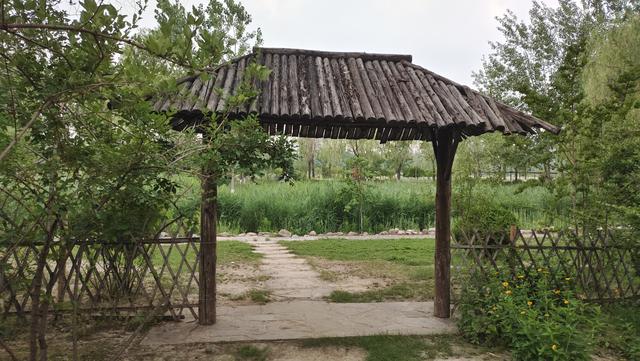 汾河公园三期景区（汾河东岸湿地公园）(15)