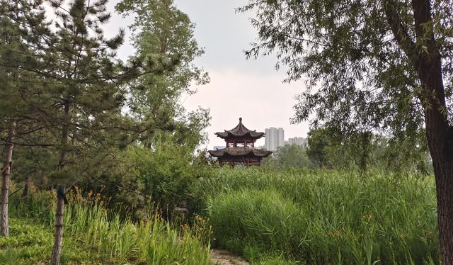 汾河公园三期景区（汾河东岸湿地公园）(19)