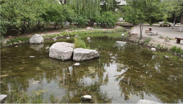 汾河公园三期景区（汾河东岸湿地公园）(9)