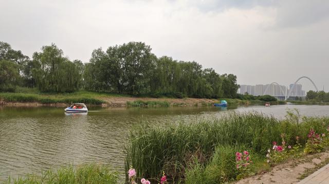 汾河公园三期景区（汾河东岸湿地公园）(8)