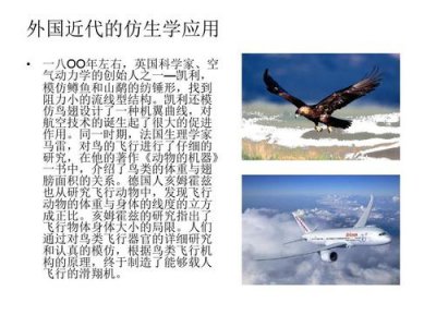 ​仿生科技实例（科学发明与仿生技术）