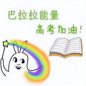 ​中戏北影高颜值新生（谁说明星无学霸）