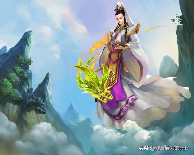 舟山普陀寺简介（传说中观音菩萨的道场普陀山）(7)