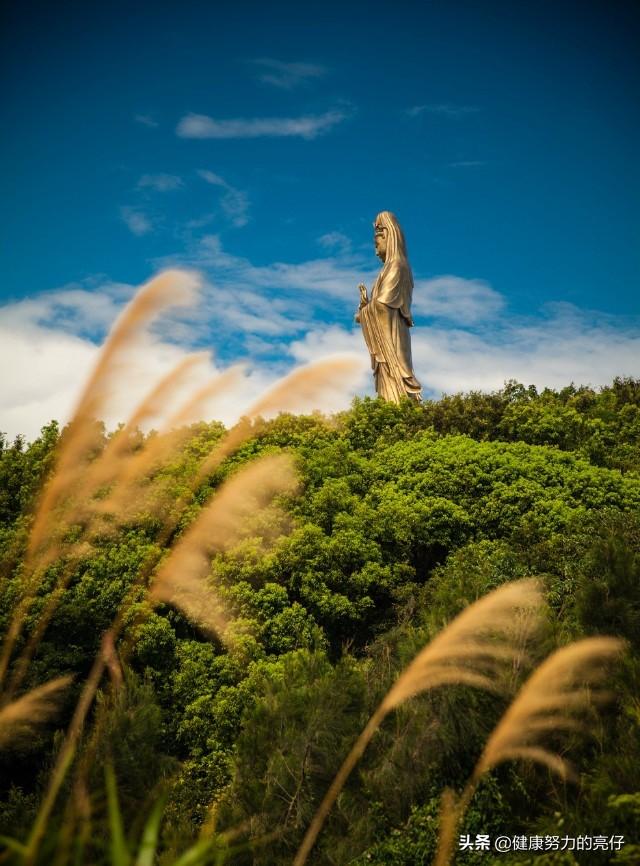 舟山普陀寺简介（传说中观音菩萨的道场普陀山）(4)
