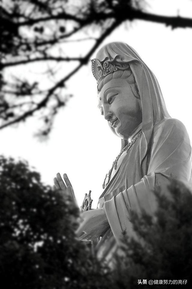 舟山普陀寺简介（传说中观音菩萨的道场普陀山）(5)