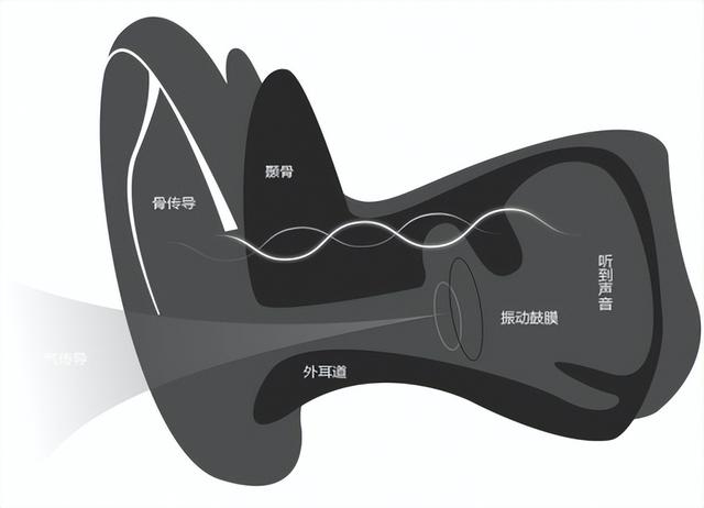 性价比高的骨传导耳机十佳评测（2022最值得入手的骨传导耳机推荐）(3)