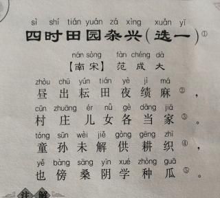 四时田园杂兴其三十一古诗：四时田园杂兴其三十一古诗译文和注释