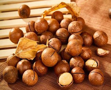 ​新疆干果有哪些,新疆干果特产有哪些图片