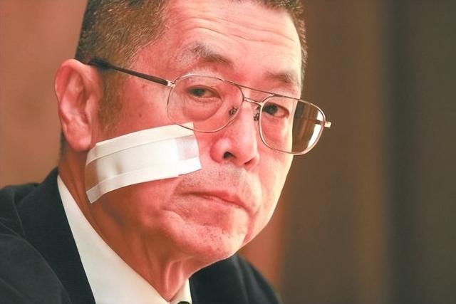 81岁钢琴大师刘诗昆再当爹（钢琴家刘诗昆78岁娶女徒弟）(23)