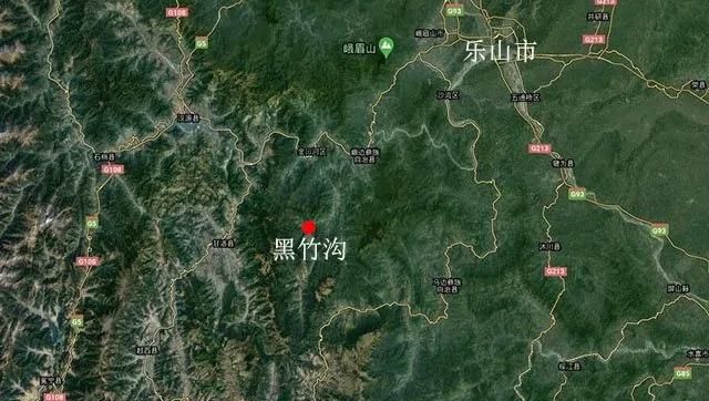豪猪和什么动物是近亲，豪猪和哪些动物是近亲？图8