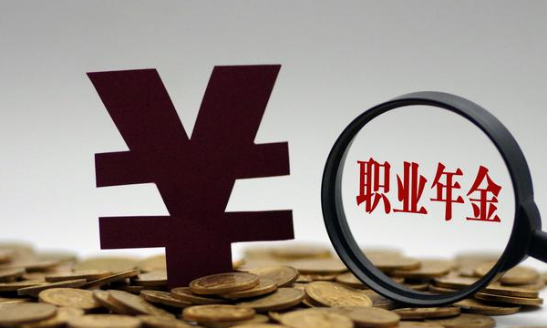 职业年金是什么意思,职业年金是什么意思?职业年金怎么领取?图3