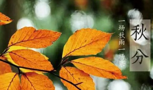 秋分吃什么传统食物,秋分养生图15