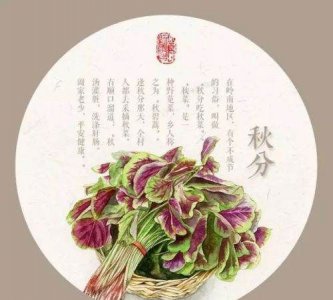 ​秋分吃什么传统食物,秋分养生