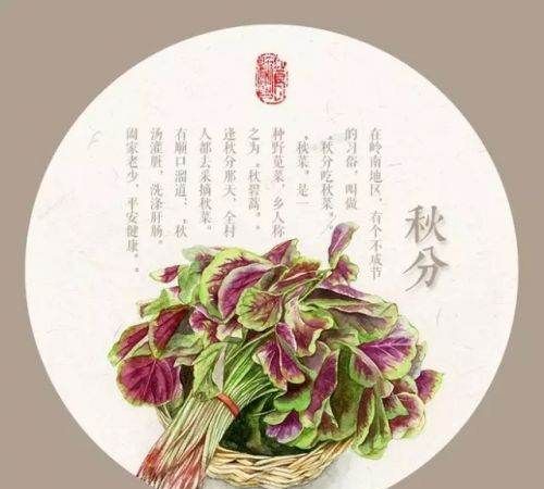 秋分吃什么传统食物,秋分养生图1