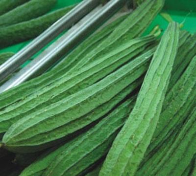 丝瓜怎样储藏才能冬天吃呢