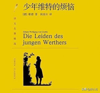 ​少年维特的烦恼故事梗概（读后感受及其经典语录分享）